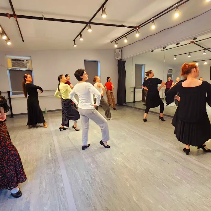 Cadencia Dancers Flamenco classes Picture 5