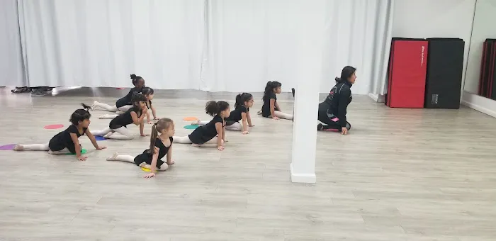 Carolina Rosa Arts Academy Picture 2