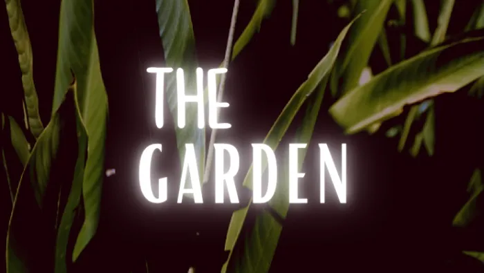 THE Garden studios Picture 3
