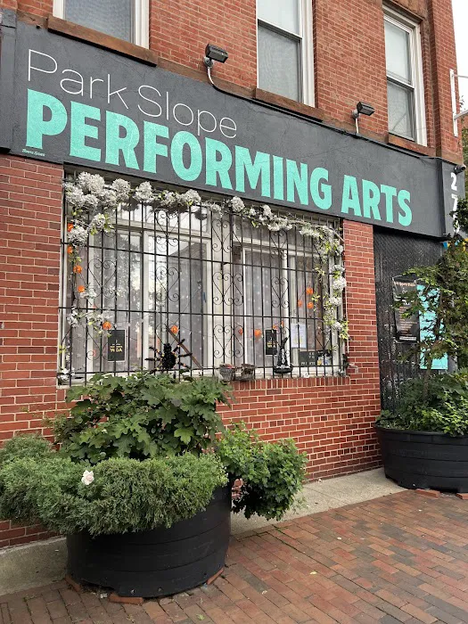 Park Slope Performing Arts Picture 3