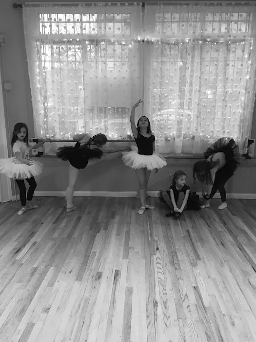 Park Slope Performing Arts Picture 5