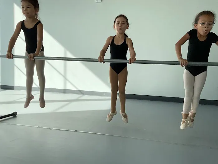 Brooklyn Dance Conservatory Picture 5