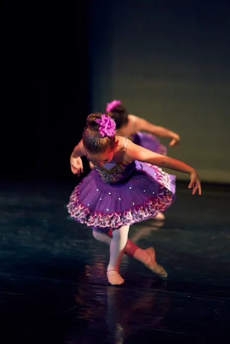 Brooklyn Dance Conservatory Picture 4