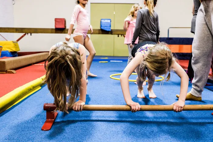 Ms J's Gymnastics & Dance Picture 5