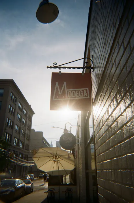 Modega Picture 4