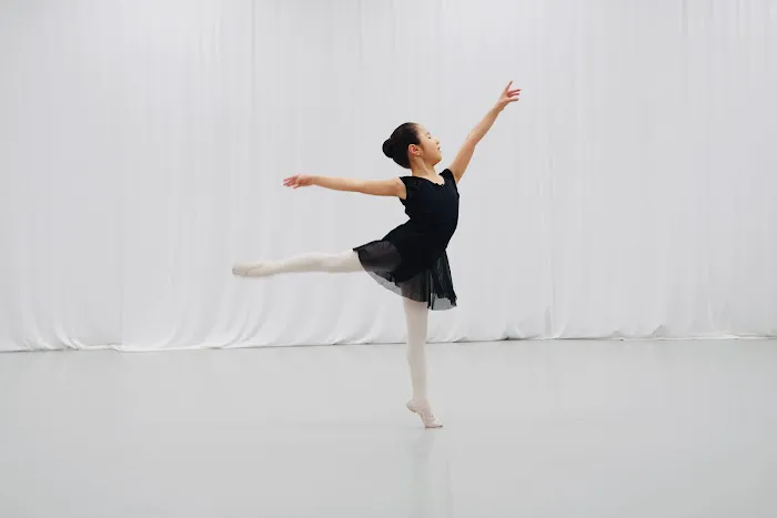 NY Dance Artistry - Hariyama Ballet Picture 3