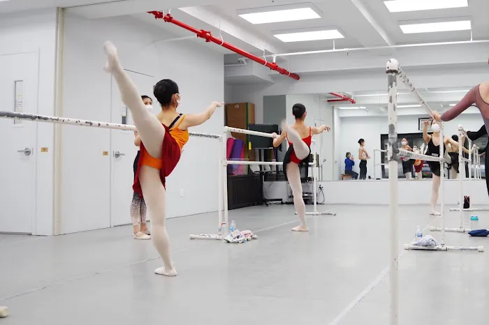NY Dance Artistry - Hariyama Ballet Picture 2