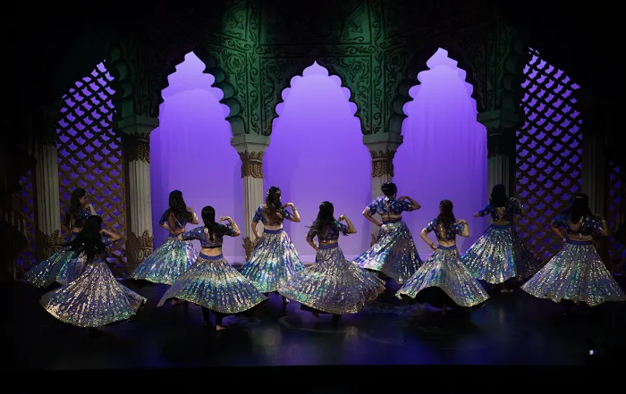 Bollywood Axion Dance | BAX NYC | Indian Dance & Performing Arts Picture 2