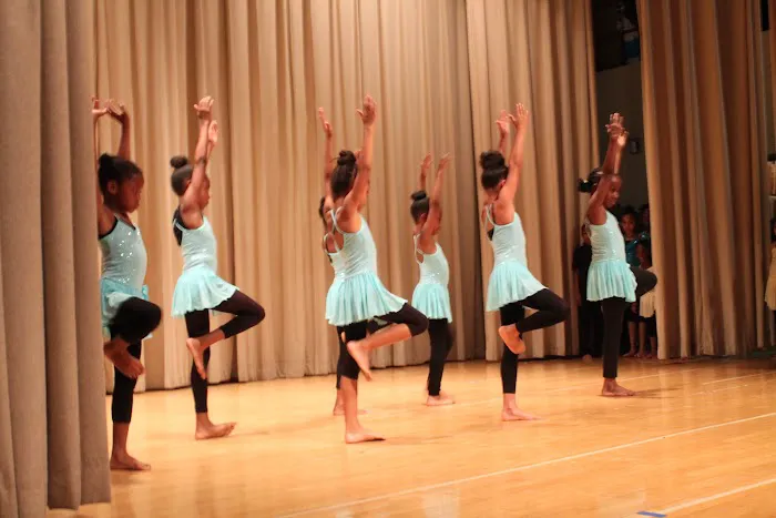 Brooklyn Center for the Arts Picture 1