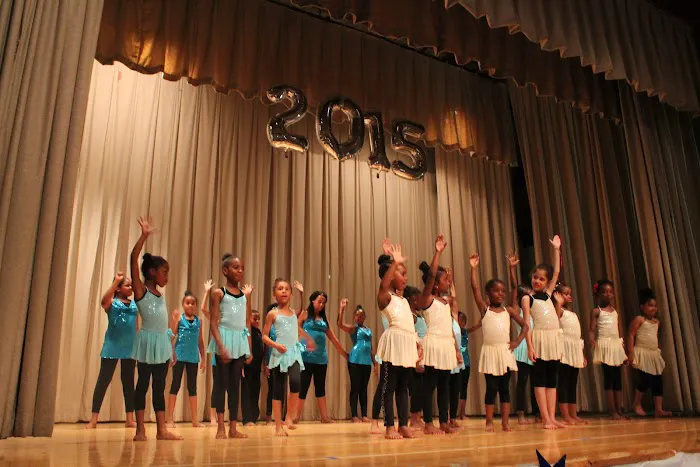 Brooklyn Center for the Arts Picture 3