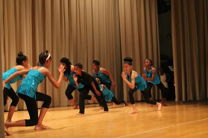 Brooklyn Center for the Arts Picture 8