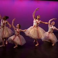 Cynthia King Dance Studio ico