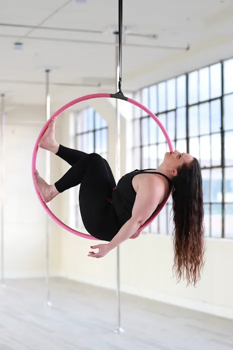 Lovely Lioness Pole Dance & Aerial Fitness Picture 1