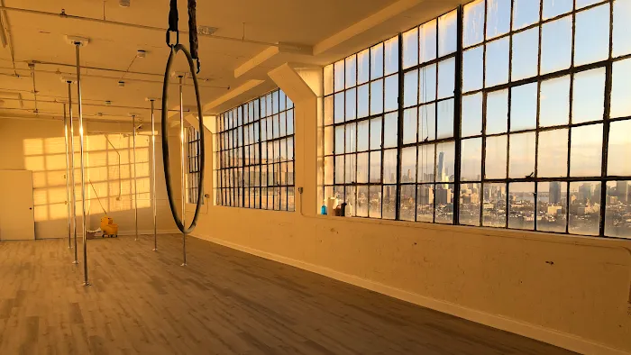 Lovely Lioness Pole Dance & Aerial Fitness Picture 3