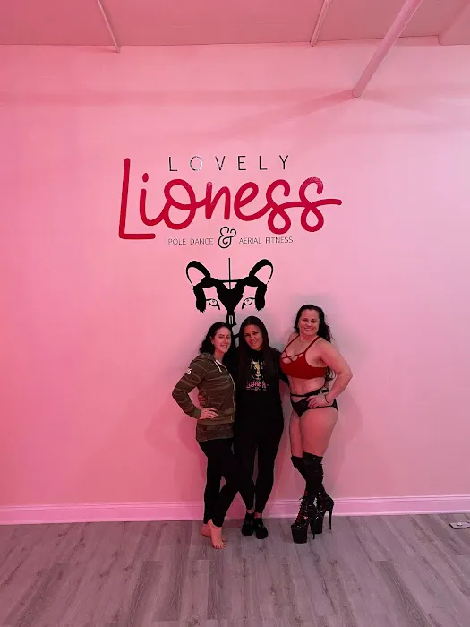 Lovely Lioness Pole Dance & Aerial Fitness Picture 6