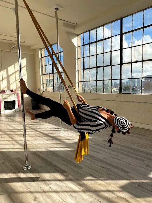 Lovely Lioness Pole Dance & Aerial Fitness Picture 7