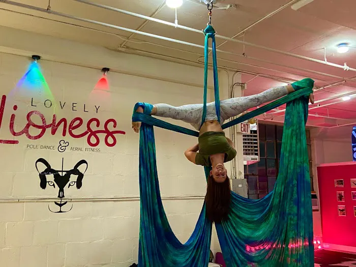 Lovely Lioness Pole Dance & Aerial Fitness Picture 9