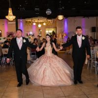Venezzia Reception Hall L.L.C. ico
