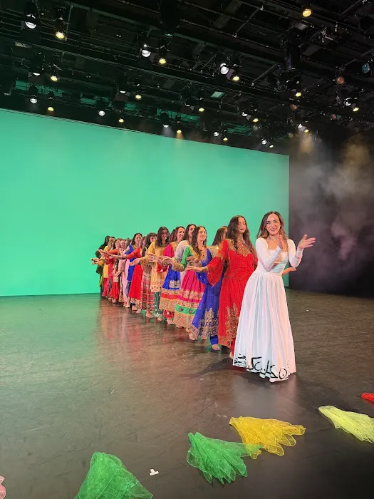 Nikki's School of Persian Dance Picture 5