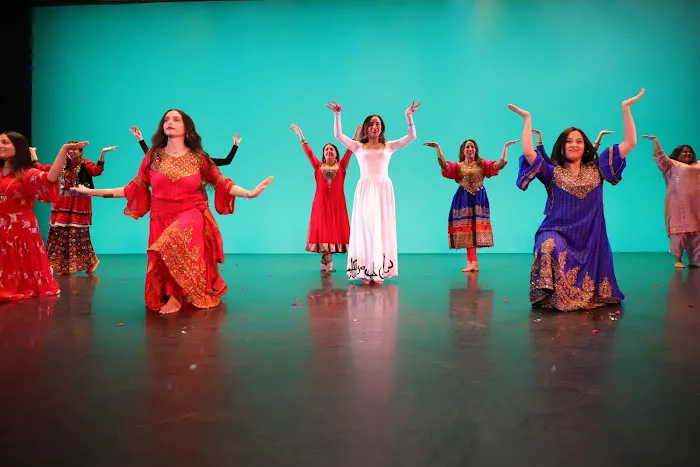 Nikki's School of Persian Dance Picture 4