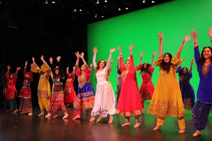 Nikki's School of Persian Dance Picture 3