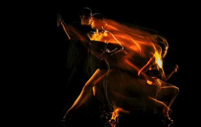 The Tango Company Picture 7