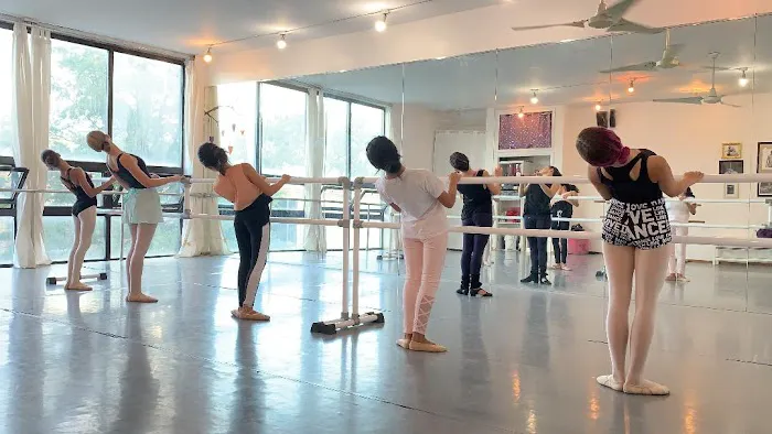 Wild Heart Performing Arts Studio Picture 2