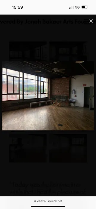 Jonah Bokaer Arts Foundation Picture 3