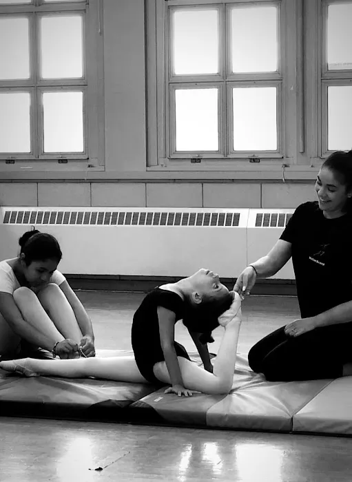 MotionScoop Dance Academy Picture 5