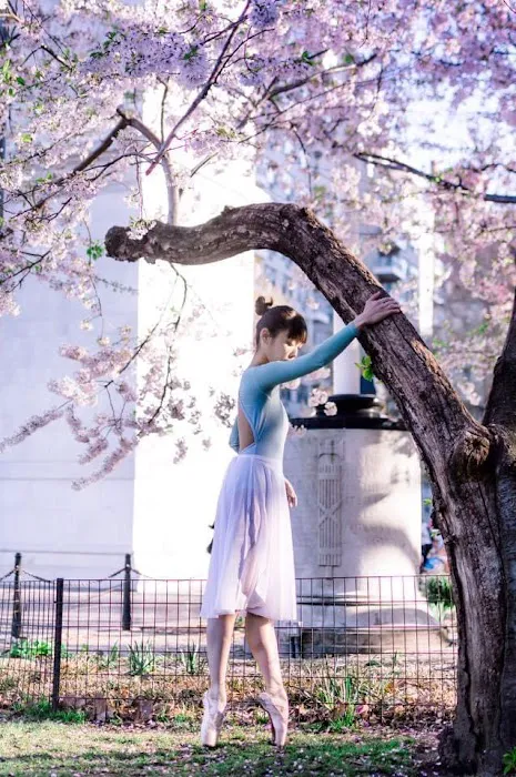 American Liberty Ballet Academy Picture 5