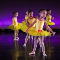 Cynthia King Dance Studio ico