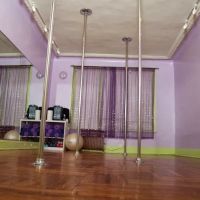 Brooklyn's Finest Pole Dancing Studio ico