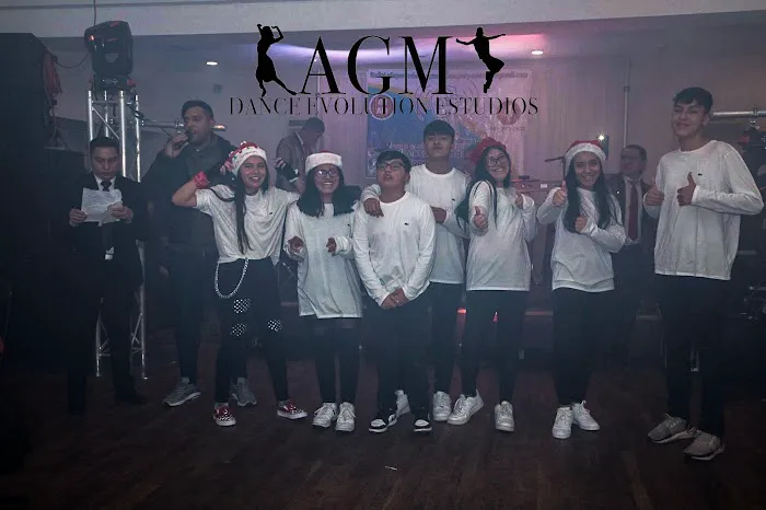 AGM Dance Evolution Studios Picture 3