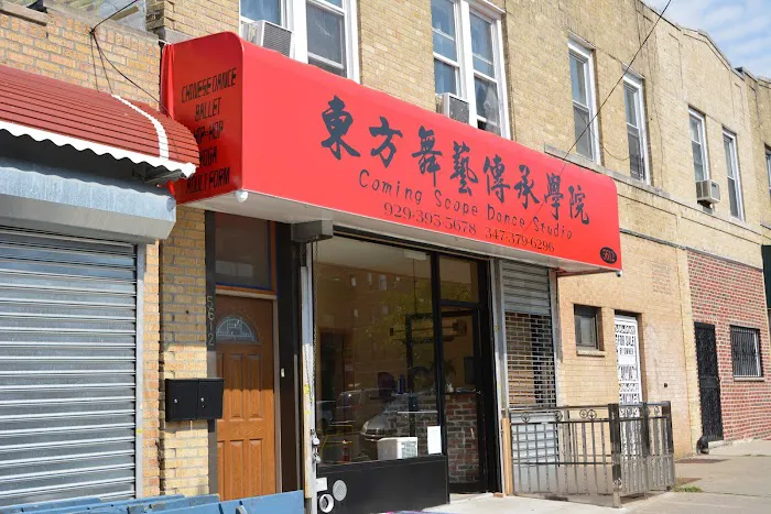 Oriental Dance Inheritance Studio Picture 10