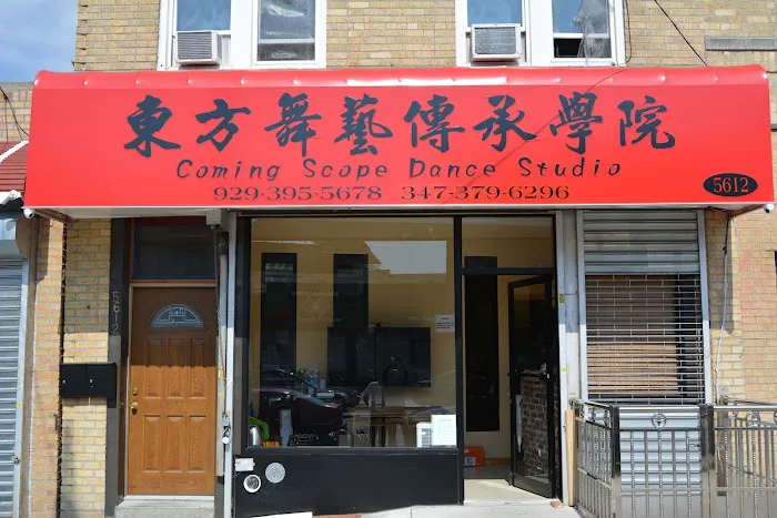 Oriental Dance Inheritance Studio Picture 9