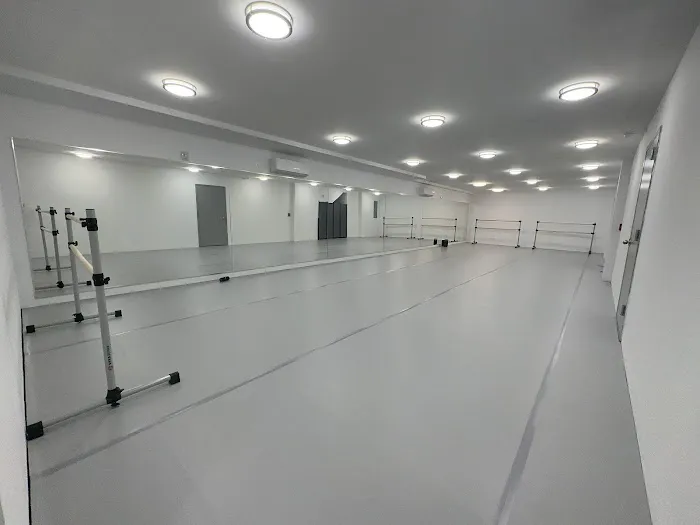 XIN'S DANCE STUDIO Picture 1