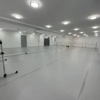 XIN'S DANCE STUDIO ico