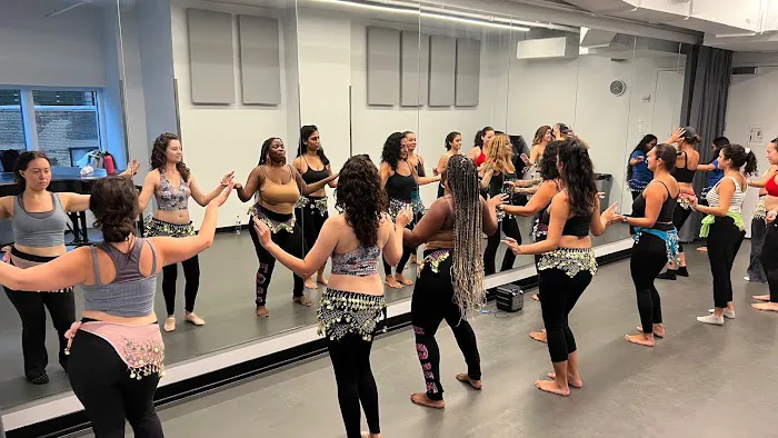 SHEBA Belly Dance NYC Picture 5