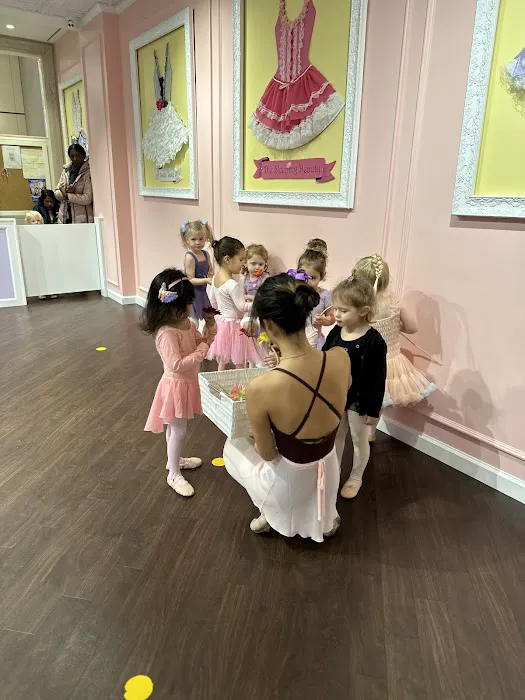 Tutu School Lenox Hill Picture 6