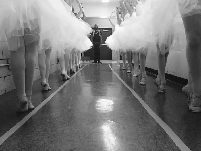 American Youth Dance Theater Picture 1