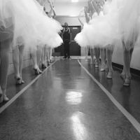 American Youth Dance Theater ico