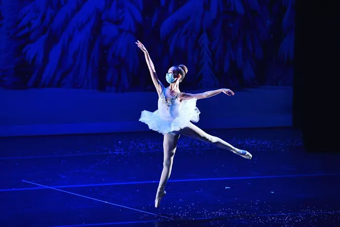 American Youth Dance Theater Picture 2