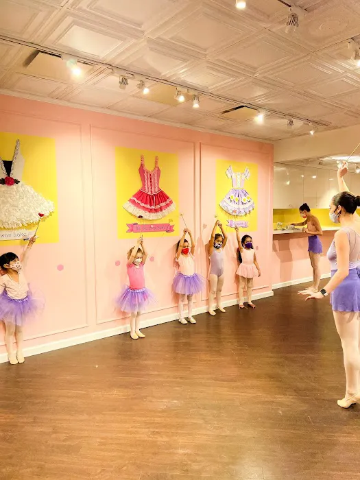 Tutu School Upper East Side Picture 3