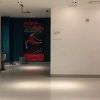The Ailey Studios ico