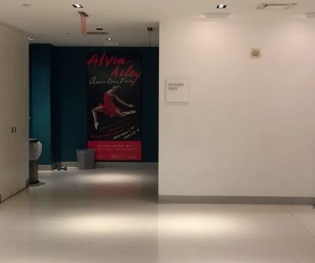 The Ailey Studios