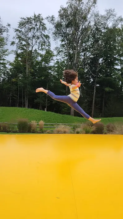 Forest Hills Rhythmic Gymnastics Dance Picture 10