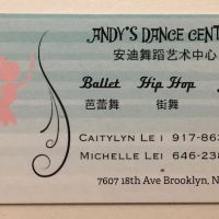 ANDY'S DANCE & ART CENTER ico