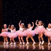Dynamic Dance Academy ico