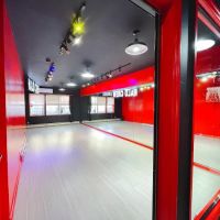 HALO DANCE CREW ico