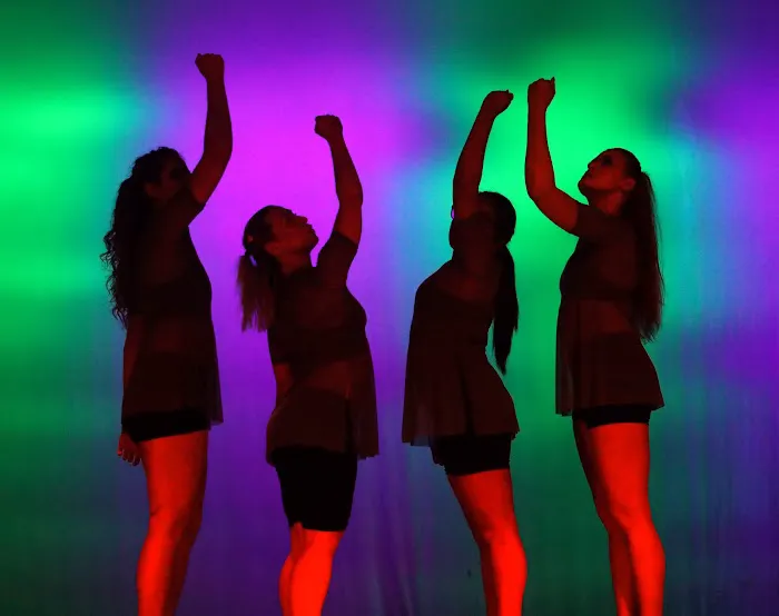 The Brooklyn Dance Center Picture 3